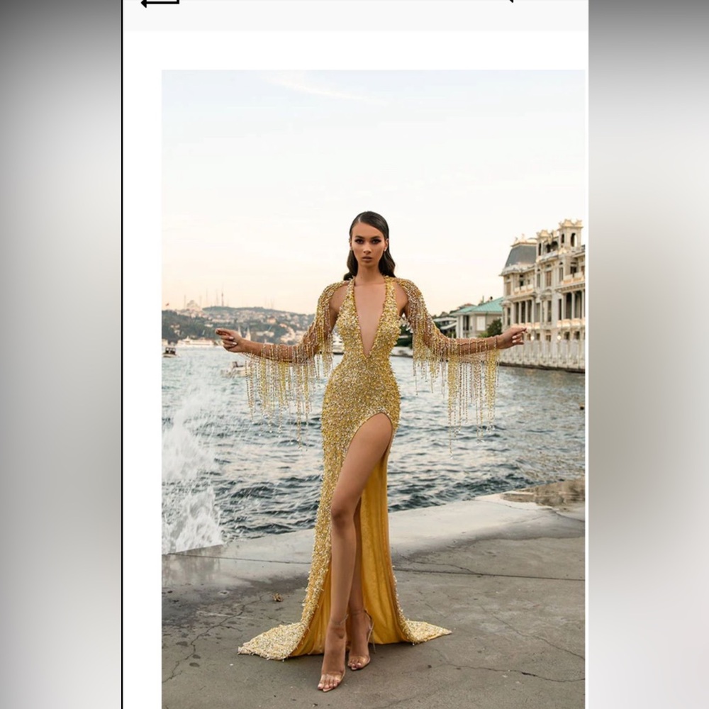 Albina Dyla rhinestone, crystal, beaded gold color gown/dress